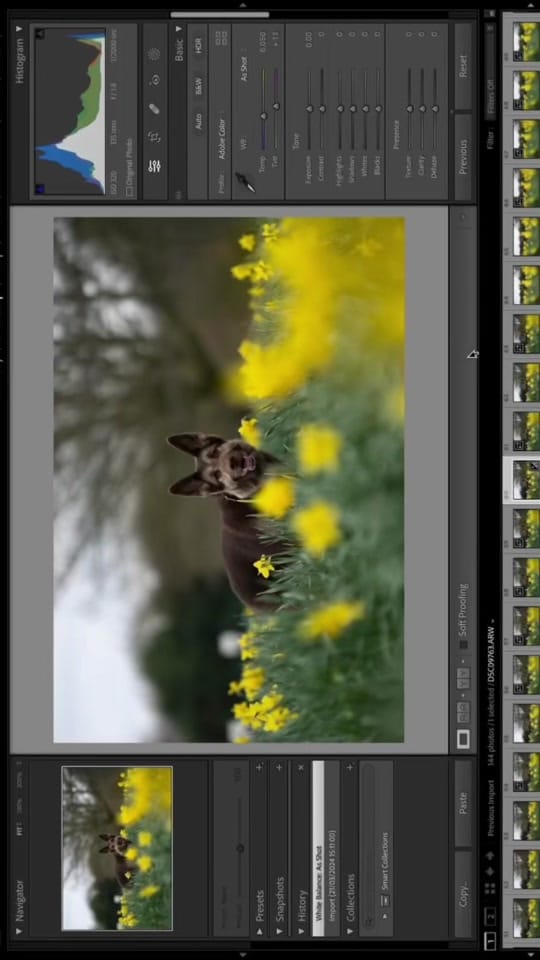 Post 7 by lucieboothphotography on TikTok (video)