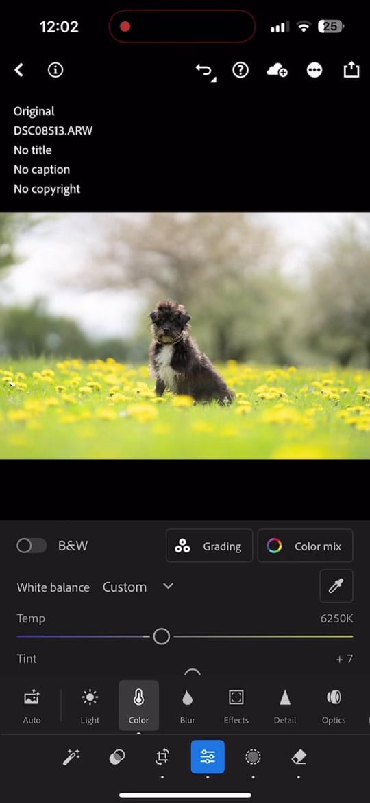 Post 2 by lucieboothphotography on TikTok (video)