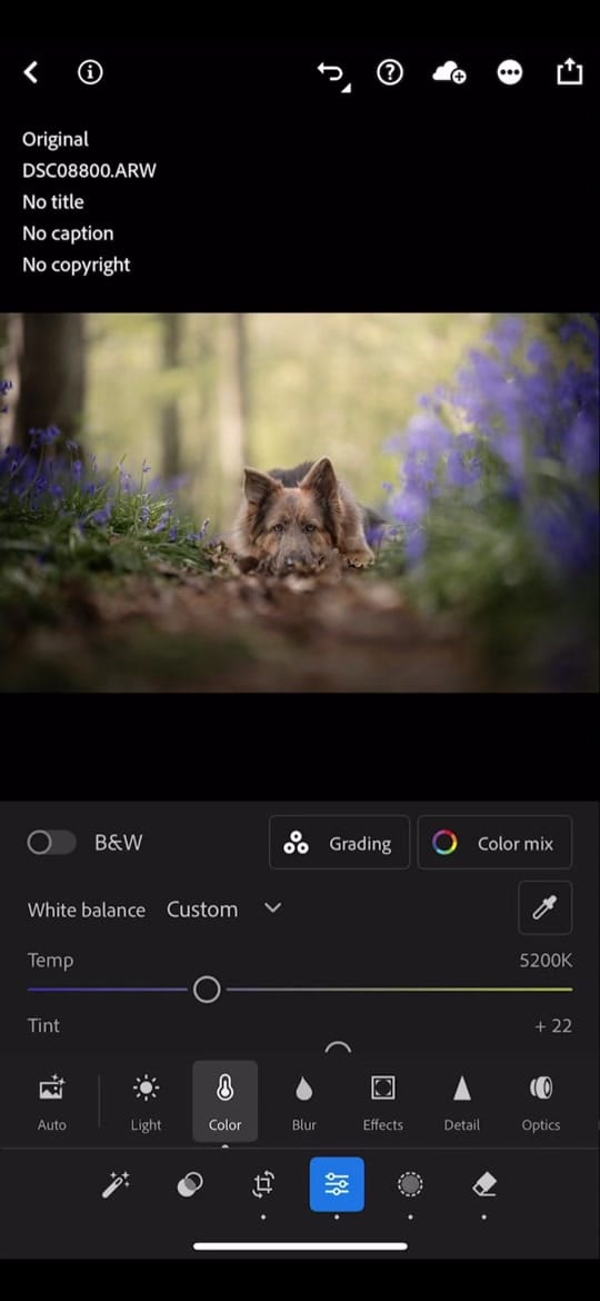Post 3 by lucieboothphotography on TikTok (video)