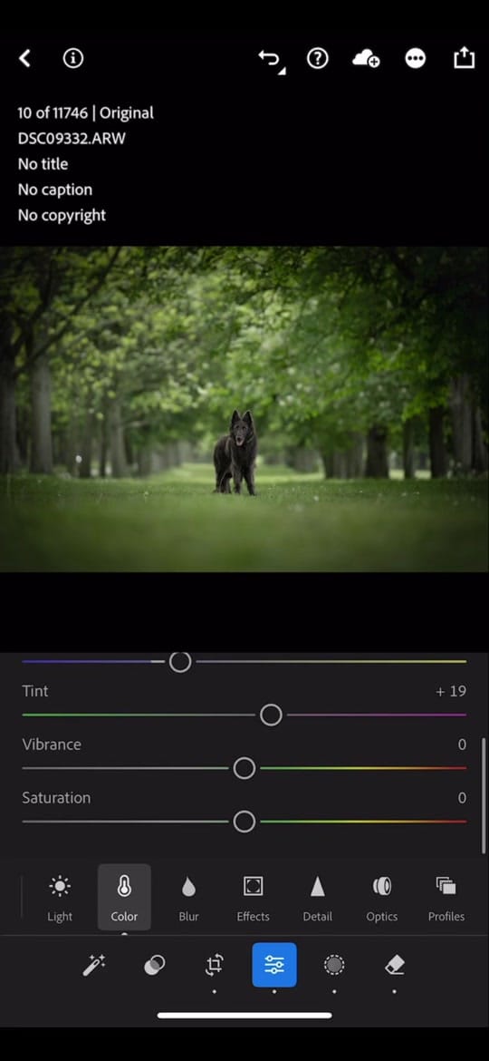 Post 4 by lucieboothphotography on TikTok (video)