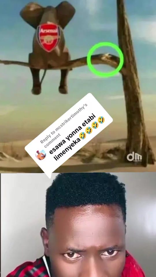 Post 8 by diehardwadeno on TikTok (video)
