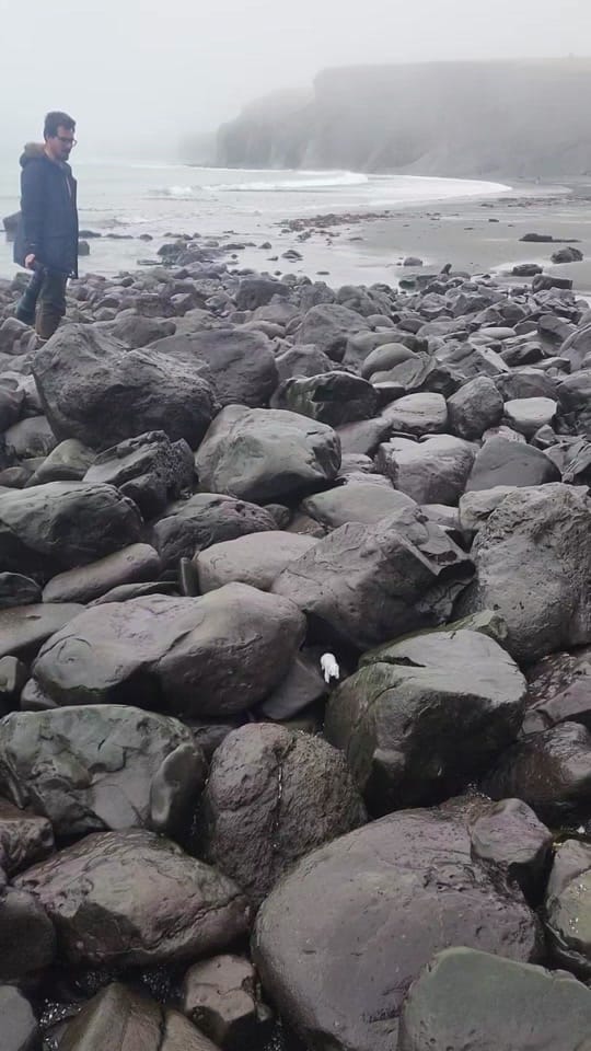 Post 1 by sergiushannan on TikTok (video)