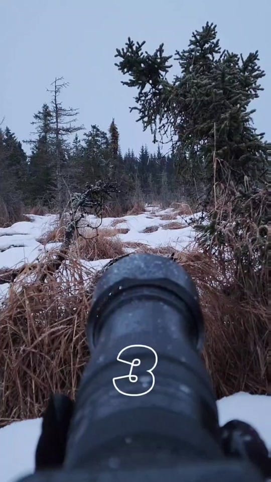 Post 4 by sergiushannan on TikTok (video)