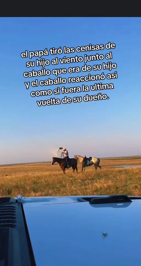 Post 10 by javii_mekanic🔧⚙️ on TikTok (video)
