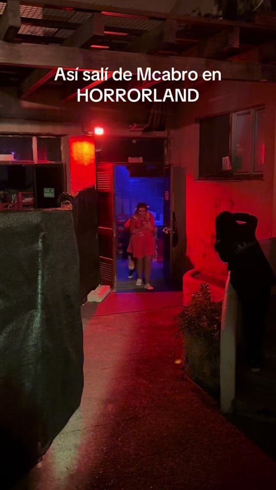 Post 9 by Elisabet TPW 🎢 on TikTok (video)
