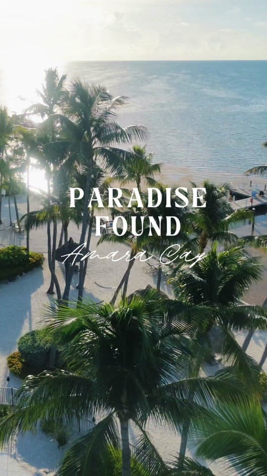 Post 1 by The Phenomenal Collective on TikTok (video)