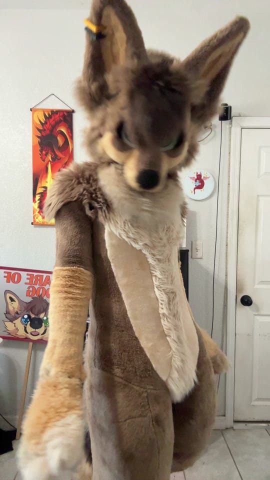 Post 10 by MacNChees3 on TikTok (video)