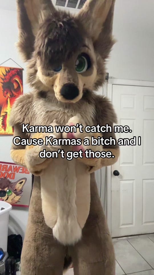 Post 4 by MacNChees3 on TikTok (video)