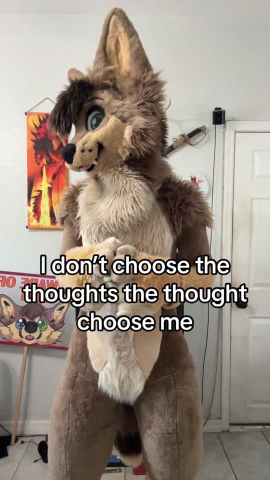 Post 8 by MacNChees3 on TikTok (video)