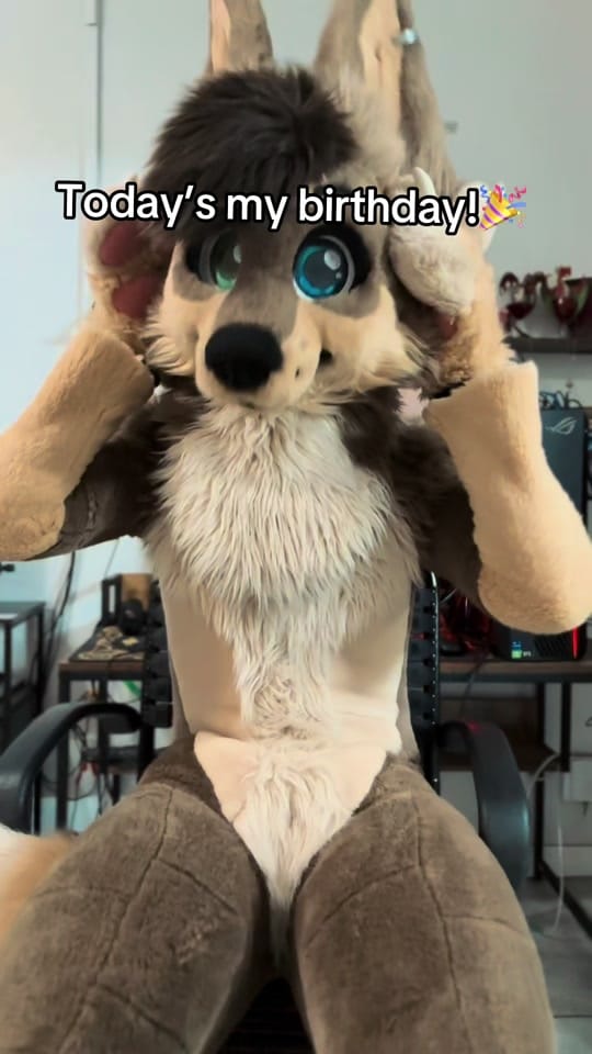 Post 2 by MacNChees3 on TikTok (video)