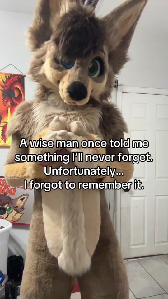 Post 6 by MacNChees3 on TikTok (video)