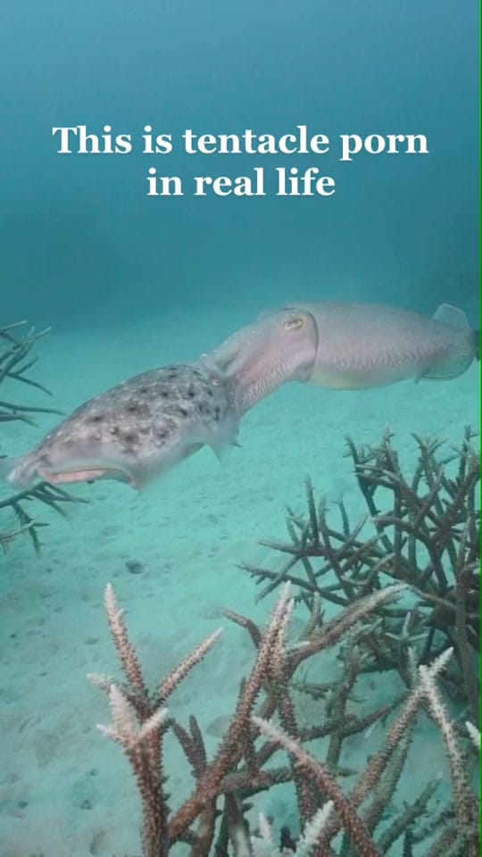 Post 10 by Tom Park Photography on TikTok (video)