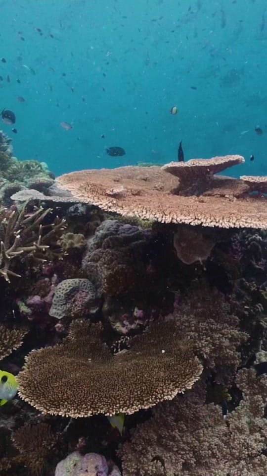 Post 7 by Tom Park Photography on TikTok (video)