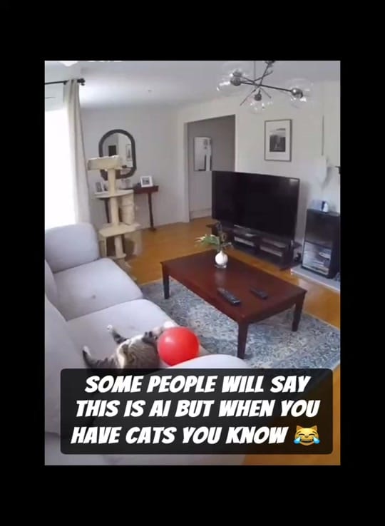 Post 7 by Taxing_Londoner 🏴󠁧󠁢󠁥󠁮󠁧󠁿 on TikTok (video)