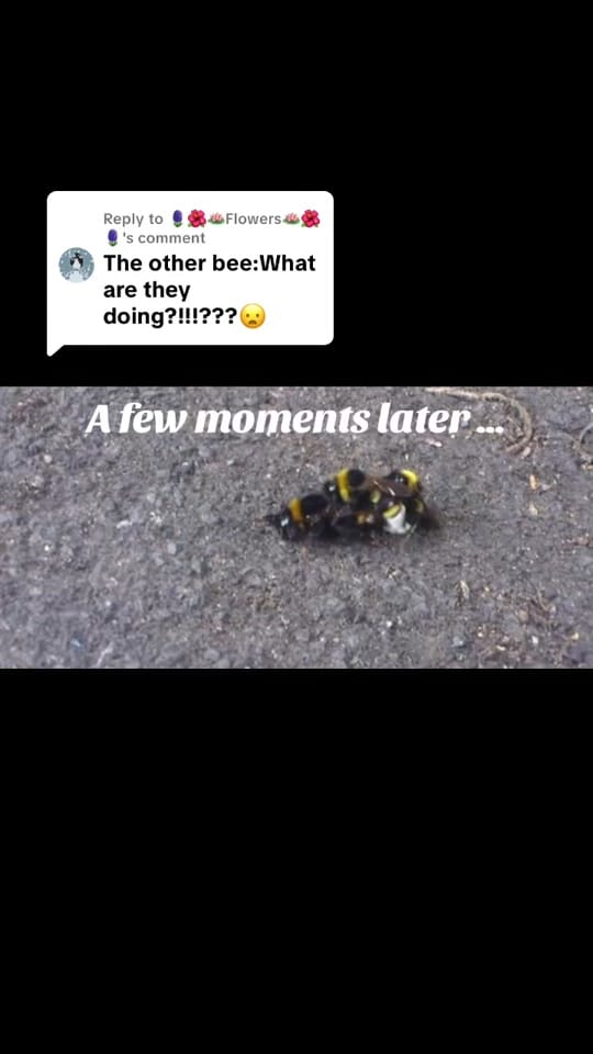 Post 3 by Taxing_Londoner 🏴󠁧󠁢󠁥󠁮󠁧󠁿 on TikTok (video)
