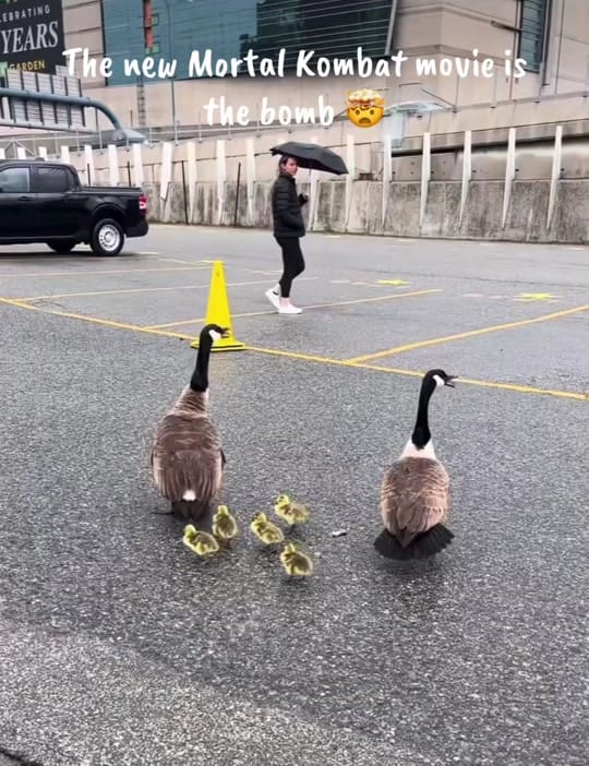 Post 1 by Taxing_Londoner 🏴󠁧󠁢󠁥󠁮󠁧󠁿 on TikTok (video)