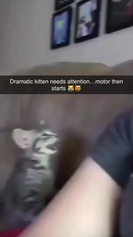 Post 10 by Taxing_Londoner 🏴󠁧󠁢󠁥󠁮󠁧󠁿 on TikTok (video)