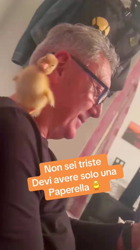 Post 4 by luca  micalef on TikTok (video)