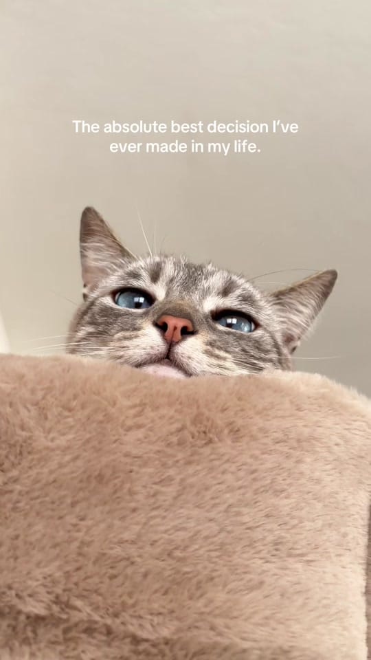 Post 3 by diezavel on TikTok (video)