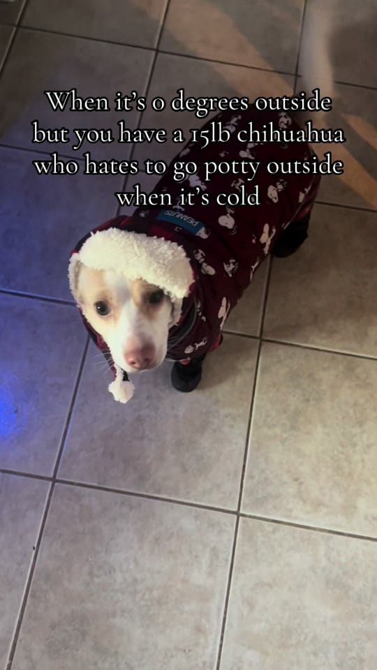 Post 8 by Miranda Short on TikTok (video)