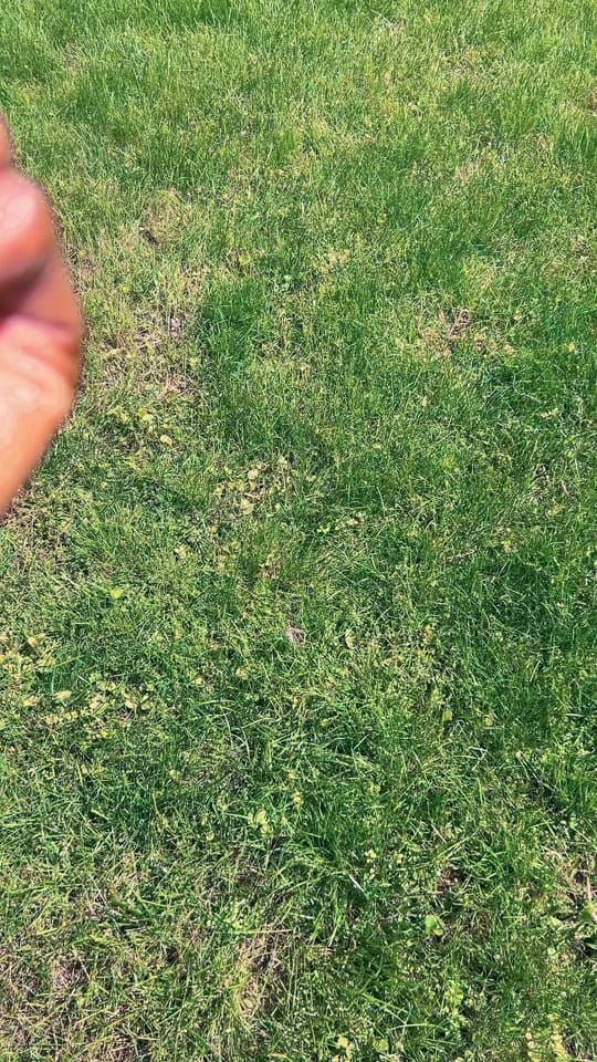 Post 8 by jameikachanele on TikTok (video)