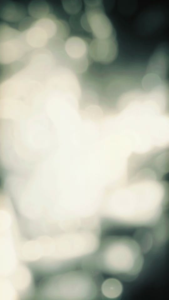 Post 1 by Birch on TikTok (video)
