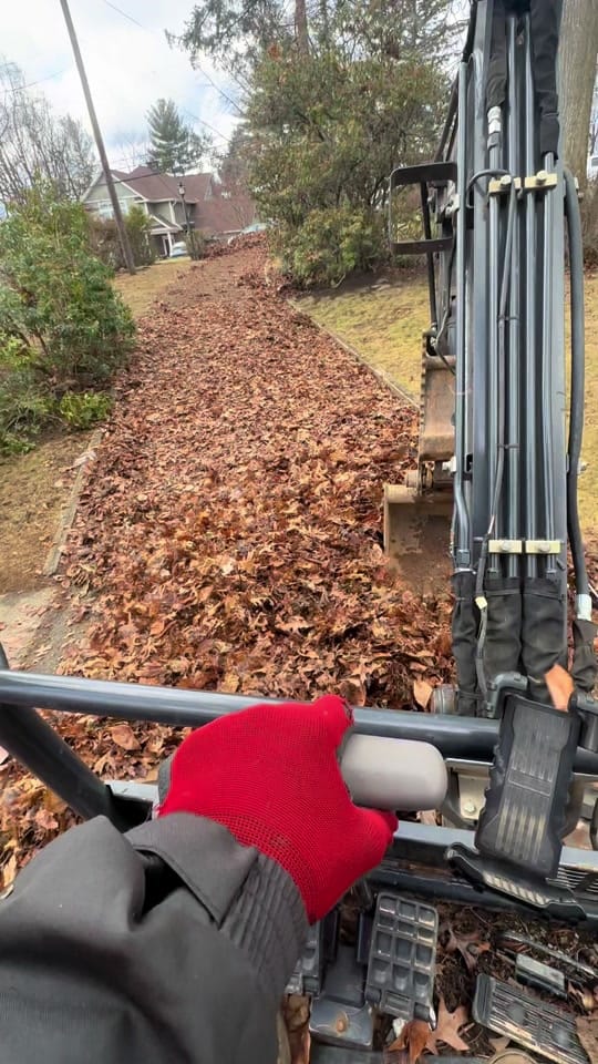 Post 6 by Birch on TikTok (video)