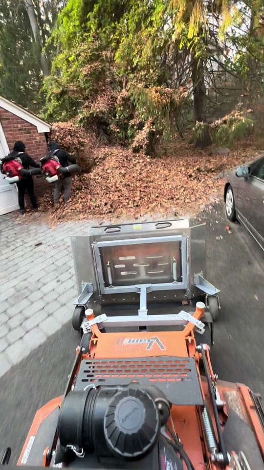 Post 9 by Birch on TikTok (video)