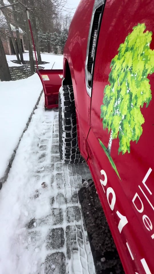Post 7 by Birch on TikTok (video)