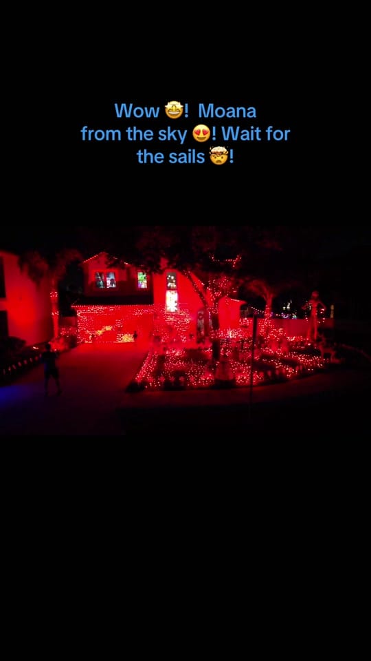 Post 3 by LightShowBecka🎃🎄 on TikTok (video)