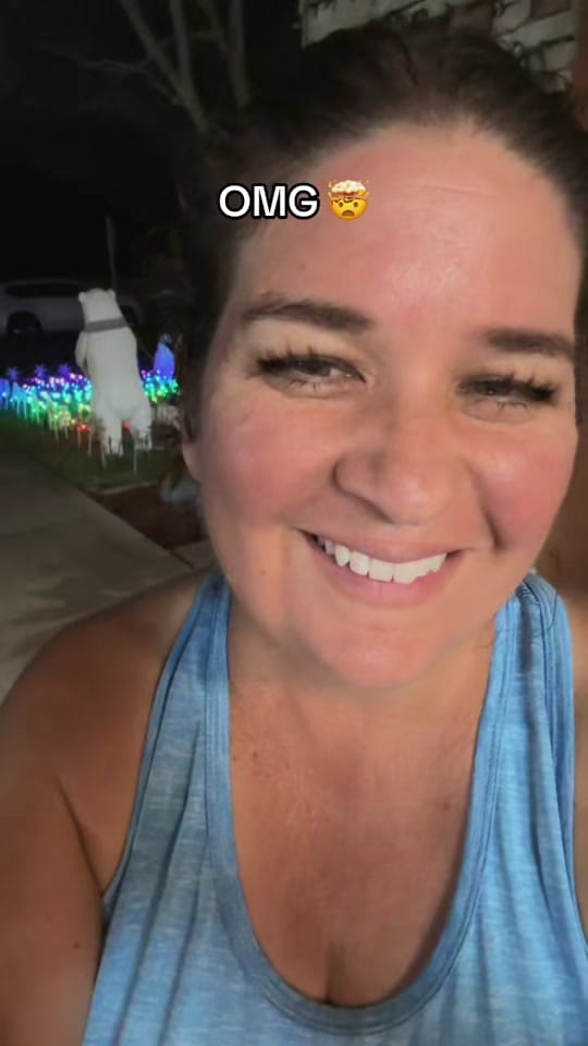 Post 8 by LightShowBecka🎃🎄 on TikTok (video)