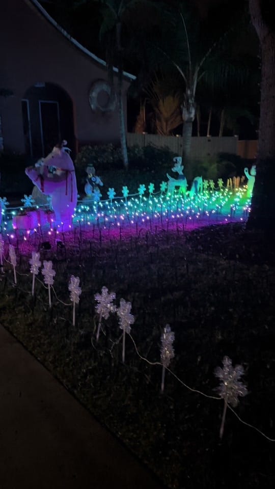Post 7 by LightShowBecka🎃🎄 on TikTok (video)
