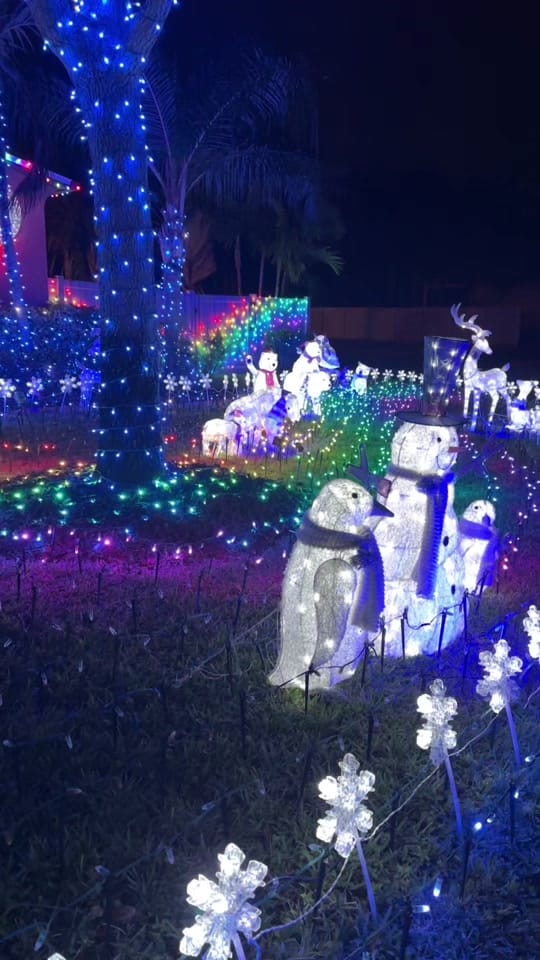 Post 6 by LightShowBecka🎃🎄 on TikTok (video)