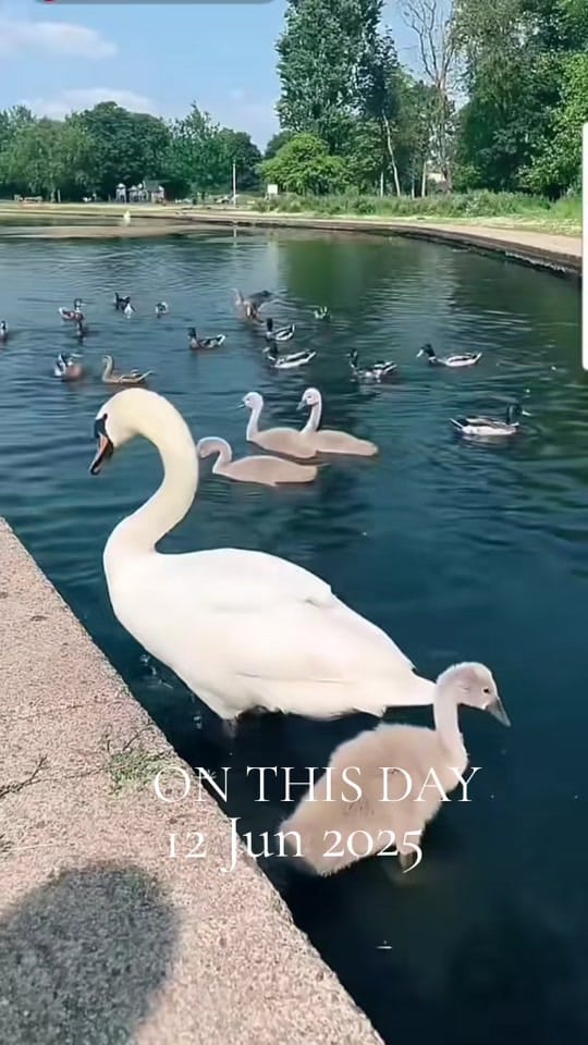 Post 7 by 🇬🇧 Irfan's Drone UK 🇬🇧 on TikTok (video)