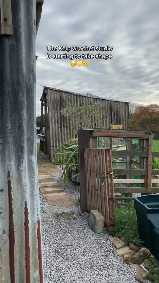 Post 5 by Kelp Crochet on TikTok (video)