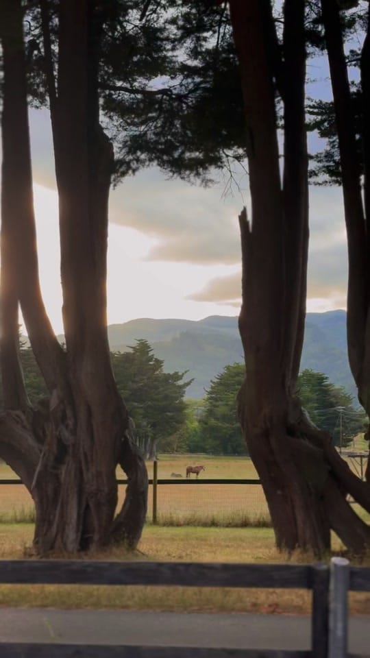 Post 1 by Nat on TikTok (video)