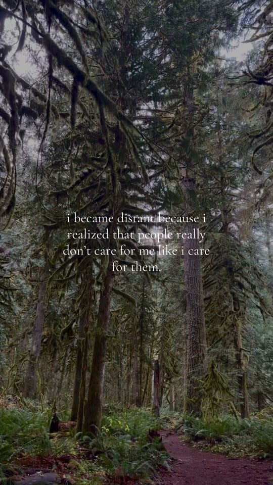 Post 8 by Nat on TikTok (video)