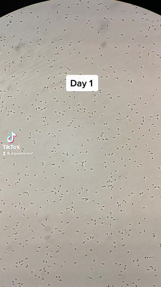 Post 10 by Carlos Guerrero PhD, HCLD on TikTok (video)