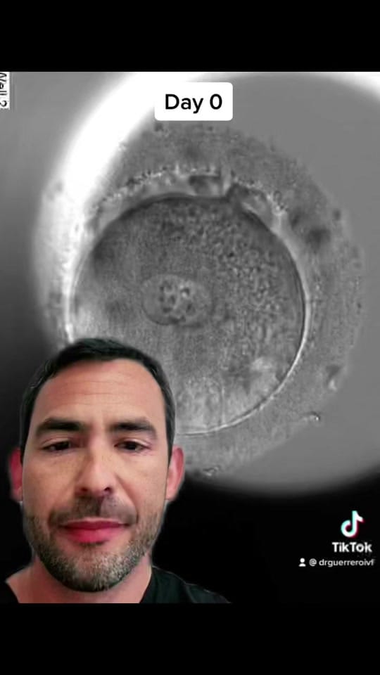 Post 6 by Carlos Guerrero PhD, HCLD on TikTok (video)