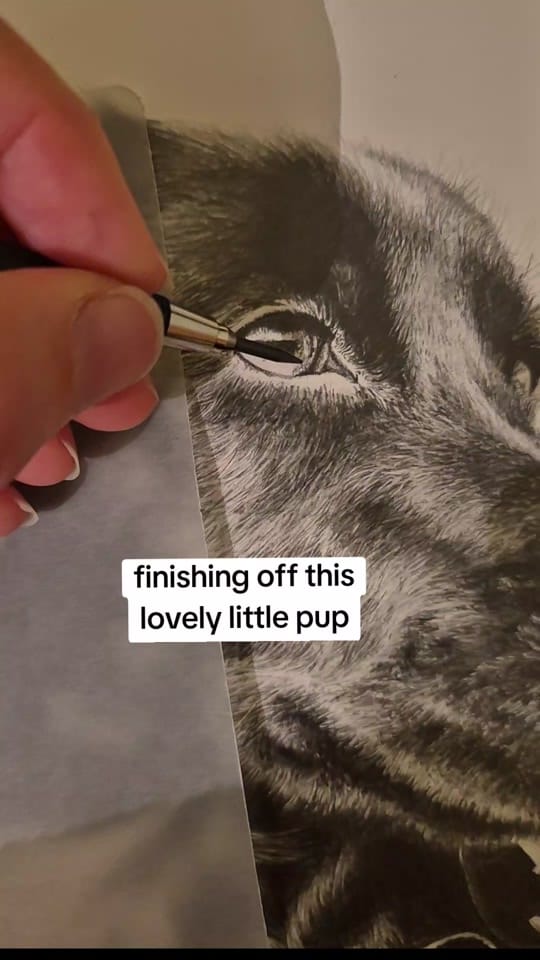 Post 10 by Megan Hunter Artist on TikTok (video)