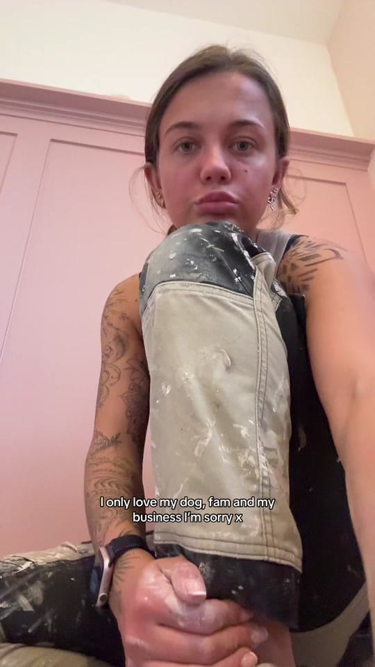 Post 2 by Painting With Lily on TikTok (video)
