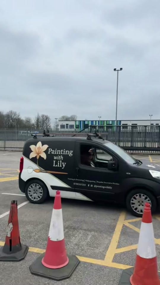 Post 5 by Painting With Lily on TikTok (video)