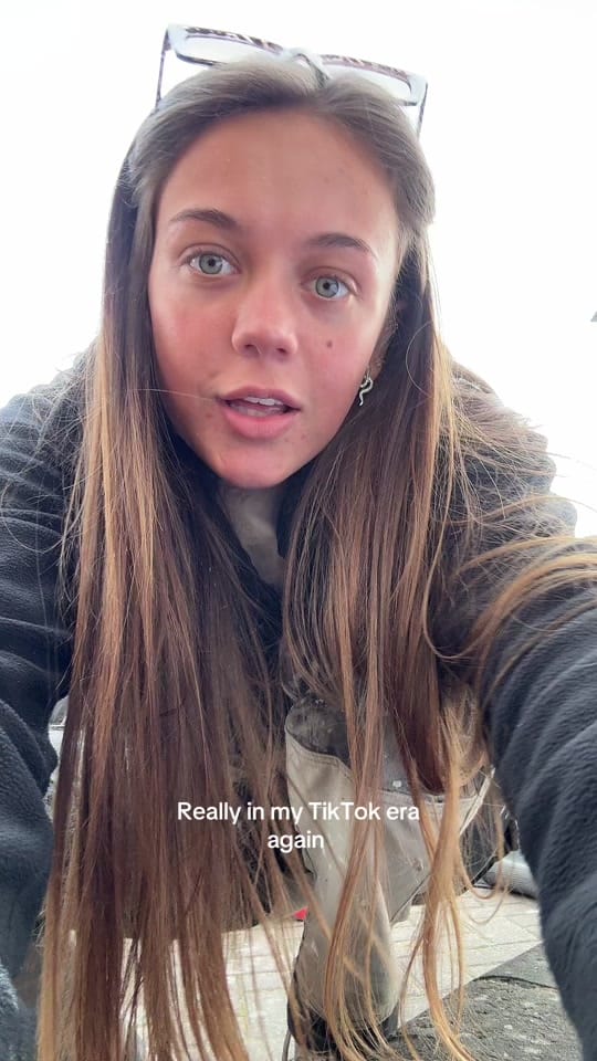 Post 7 by Painting With Lily on TikTok (video)