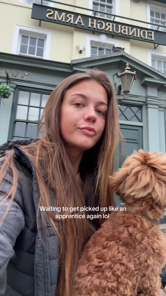 Post 10 by Painting With Lily on TikTok (video)