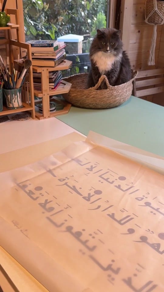 Post 1 by Maaida Noor on TikTok (video)