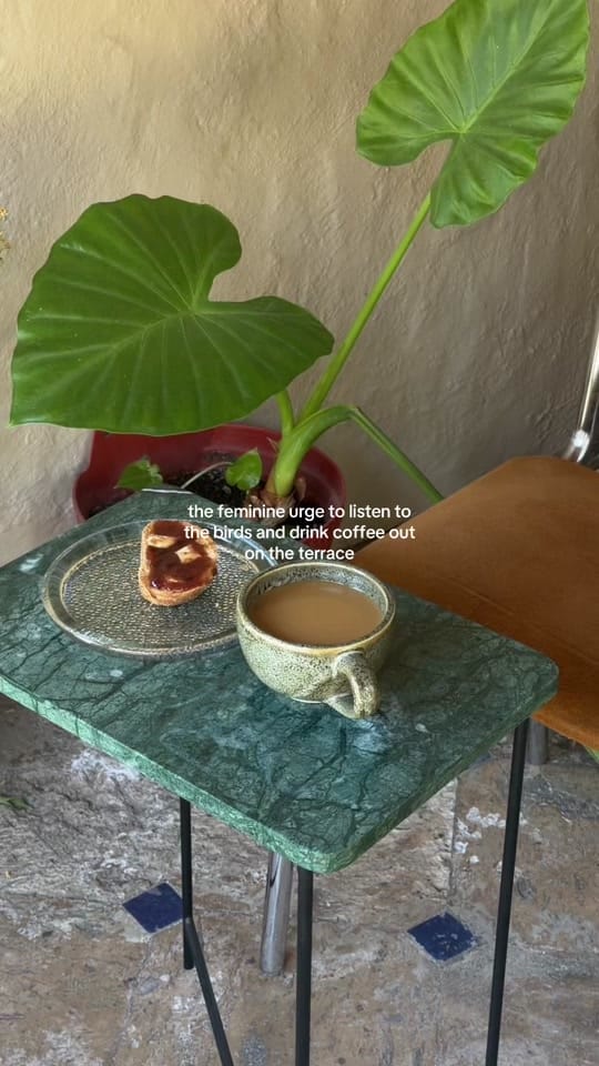 Post 7 by thepaotoledo on TikTok (video)