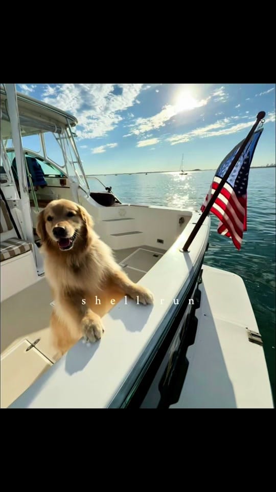 Post 3 by Coastal Wall Art|Dover Designs on TikTok (video)
