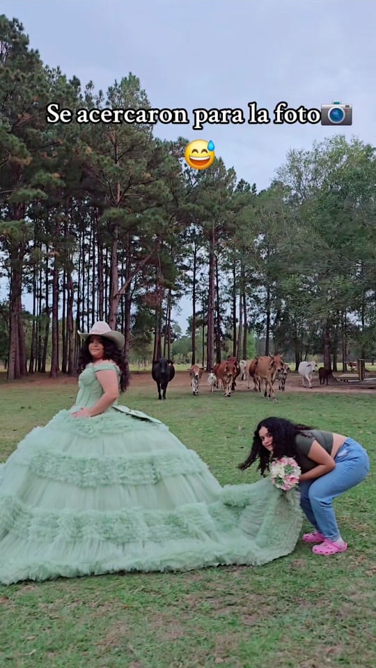 Post 9 by Quinceañeras fotografías on TikTok (video)