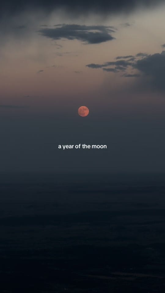 Post 2 by Grace Gatto on TikTok (video)