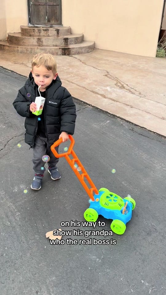 Post 7 by Grace Gatto on TikTok (video)